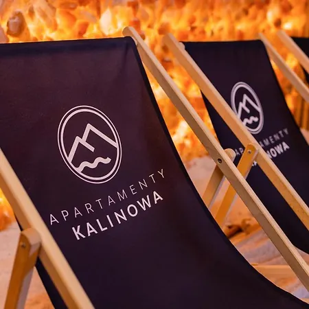 Lux Kalinowa 13 Sauna, Grota Solna By Rentilopl