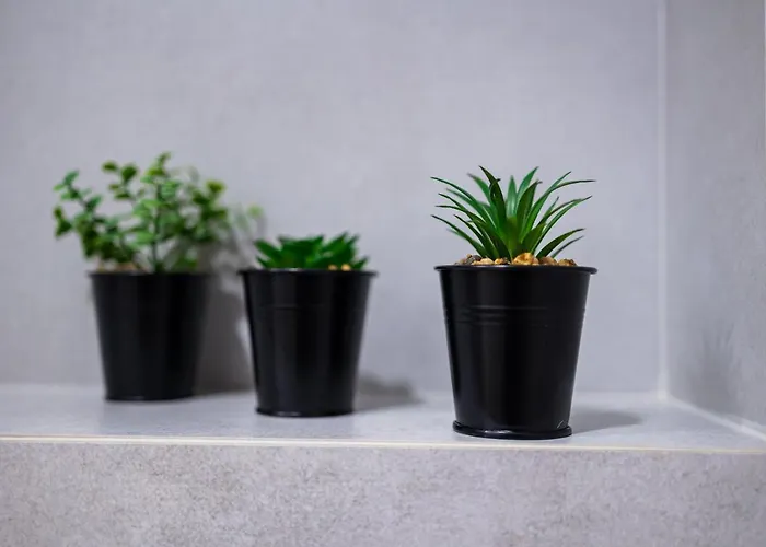 Apartament Apartament Lux Kalinowa 13 Sauna, Grota Solna By Rentilo Szczyrk